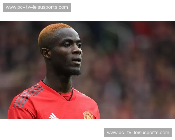 红魔对垒大象：比利时vs科特迪瓦比分背后的权力交迭与绿茵美学